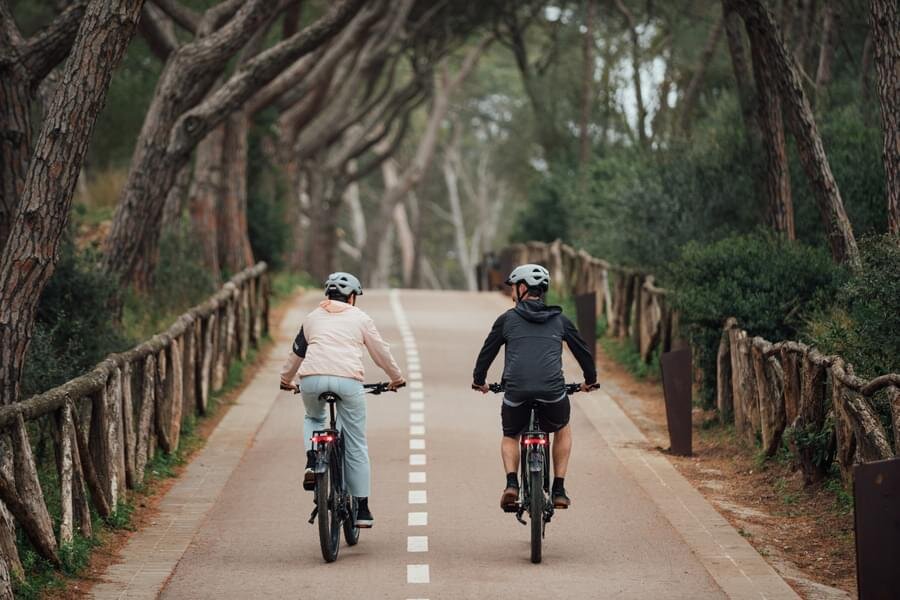 Trekkingräder Trekkingräder