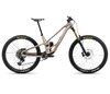 Orbea RALLON 450 E-LTD L Nickel (Matt) - Nickel Chrome (Gloss)