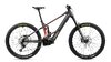 Orbea WILD/M M20 L Diamond Carbon View (Matt) - Mars Red (Gloss)