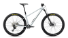 Orbea LAUFEY H10 L Smooth Silver (Matt) - Titanium (Gloss)