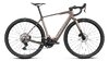 Orbea DENNA M20 XS Nickel (Matt) - Carbon Raw (Gloss)